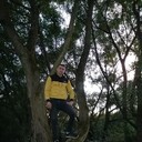 ���������� �����, ���� ������� ���������, 31 ���, ������������ ��� ������, ����� � ���������, c�������� ���������