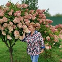  ,   , 54 ,     , c 