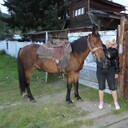  ,   , 49 ,     , c 