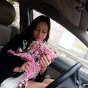 ���������� ������, ���� ������� �������, 38 ���, ������������ ��� ������, ����� � ���������, c�������� ���������