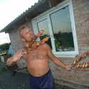  ,   , 61 ,   