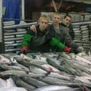  ,   ORLIK, 40 ,   ,   , c 