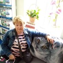 ���������� �����-���������, ���� ������� ������, 60 ���, ������������ ��� c�������� ���������