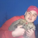 ���������� ������-���, ���� ������� �������, 38 ���, ������������ ��� ������, ����� � ���������, c�������� ���������