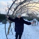 ���������� ������, ���� ������� ���������, 71 ���, ������������ ��� c�������� ���������