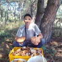  ,   , 50 ,   ,   , c , 