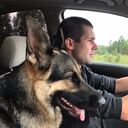 ���������� �����-���������, ���� ������� ����, 31 ���, ������������ ��� ������, ����� � ���������