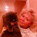 ���������� ����, ���� ������� �������, 61 ���, ������������ ��� ������, ����� � ���������, c�������� ���������