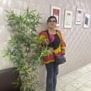  ,   , 55 ,   c , 