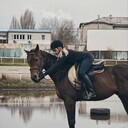 ���������� �������, ���� ������� Pokica, 28 ���, ������������ ��� ������, ����� � ���������