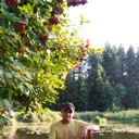 ���������� ����, ���� ������� ������, 37 ���, ������������ ��� ������, ����� � ���������, c�������� ���������