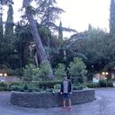 ���������� ����, ���� ����� �����, 22 ����, ������������ ��� ������, ����� � ���������