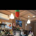 ���������� �����������, ���� ������� ����, 27 ���, ������������ ��� ������