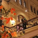 ���������� ������, ���� ������� ����, 36 ���, ������������ ��� ������, ����� � ���������, c�������� ���������