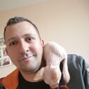 ���������� �����-���������, ���� ������� �������, 36 ���, ������������ ��� ������, ����� � ���������