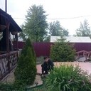  ,    , 40 ,   