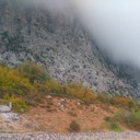 ���������� �����������, ���� ������� ������, 46 ���, ������������ ��� ������, ����� � ���������, c�������� ���������