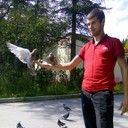  ,   , 39 ,   