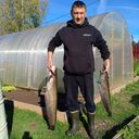 ���������� ������, ���� ������� ��������, 50 ���, ������������ ��� c�������� ���������