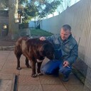 ���������� �����-���������, ���� ������� ������, 49 ���, ������������ ��� ������, ����� � ���������