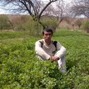  ,   Alisher, 38 ,   ,   , c 