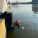  ,   , 51 ,     , c 