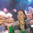 ���������� ������, ���� ������� ����, 52 ����, ������������ ��� ������, ����� � ���������, c�������� ���������