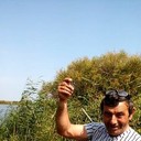  ,    , 58 ,   