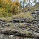 ���������� ������������, ���� ������� ��������, 30 ���, ������������ ��� ������, ����� � ���������