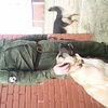   ,   , 53 ,   