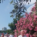  ,   , 65 ,   ,   , c 
