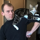 ���������� ����, ���� ������� ���������, 35 ���, ������������ ��� ������, ����� � ���������, c�������� ���������