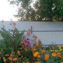 ���������� ����, ���� ������� �������, 63 ����, ������������ ��� ������, ����� � ���������, c�������� ���������