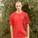  ,   , 38 ,   