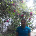  ,   Alim, 51 ,   ,   , c 