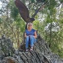 ���������� �����, ���� ������� ����, 63 ����, ������������ ��� c�������� ���������