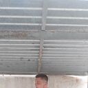 ���������� ����, ���� ������� ����, 26 ���, ������������ ��� ������, ����� � ���������