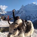  --,   , 31 ,   ,   , c 