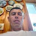 ���������� �����-���������, ���� ������� Pahlavon, 46 ���, ������������ ��� ������, ����� � ���������