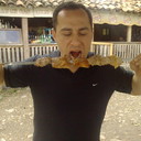  ,   Kobra, 39 ,   