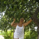 ���������� �����, ���� ������� �����, 71 ���, ������������ ��� ����� � ���������, c�������� ���������