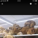 ���������� ������, ���� ������� ������, 56 ���, ������������ ��� ����� � ���������, c�������� ���������