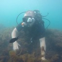 ���������� ��������, ���� ������� ������, 45 ���, ������������ ��� ������, ����� � ���������, c�������� ���������