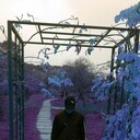 ���������� �������, ���� ������� ������, 39 ���, ������������ ��� ������, ����� � ���������, c�������� ���������