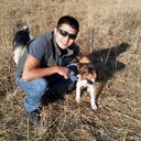 ���������� ������, ���� ������� �����, 39 ���, ������������ ��� ������, ����� � ���������, c�������� ���������, ���������