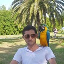 ���������� ����, ���� ������� ������, 38 ���, ������������ ��� ������, ����� � ���������, c�������� ���������, ���������