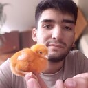 ���������� �������, ���� ������� Timur, 27 ���, ������������ ��� ������, ����� � ���������