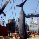 ���������� �����-���������, ���� ������� ����, 42 ����, ������������ ��� ����� � ���������, c�������� ���������