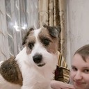 ���������� �����-���������, ���� ������� �����, 27 ���, ������������ ��� ������, ����� � ���������, ���������