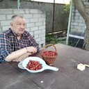  ,   , 74 ,   ,   , c 
